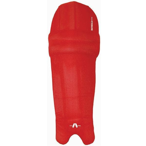 Gray Nicolls Batting Pads Clads - Image 5