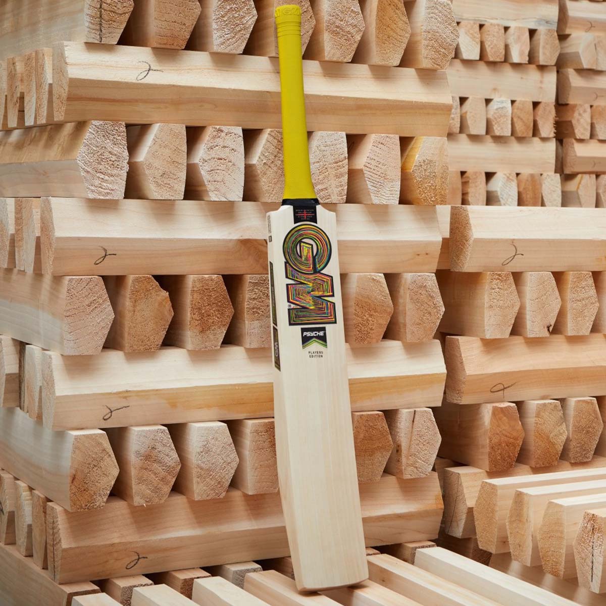 Gunn & Moore Ben Duckett Players Edition Cricket Bat - 2025 - Image 2