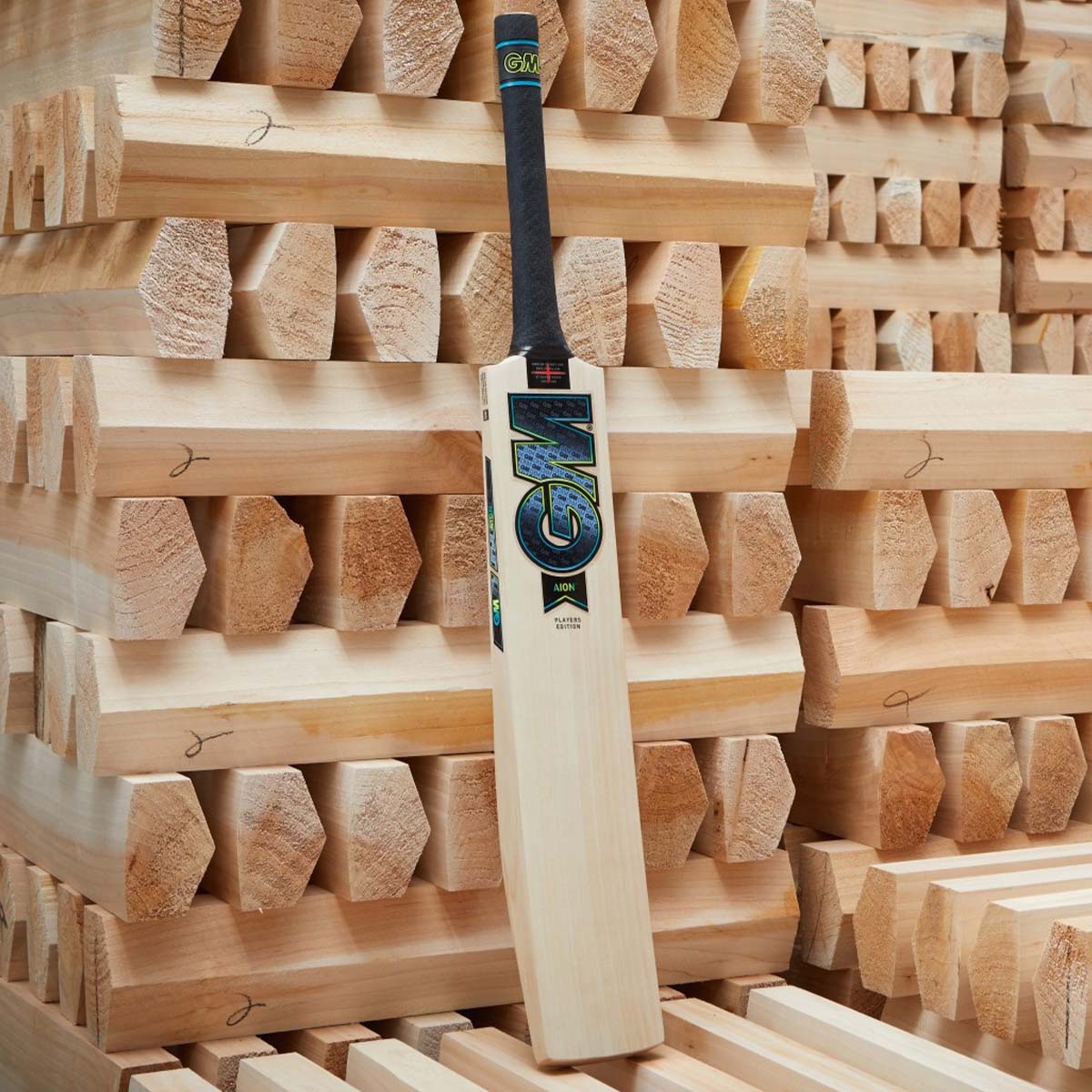 Gunn & Moore James Vince Players Edition Cricket Bat - Image 2