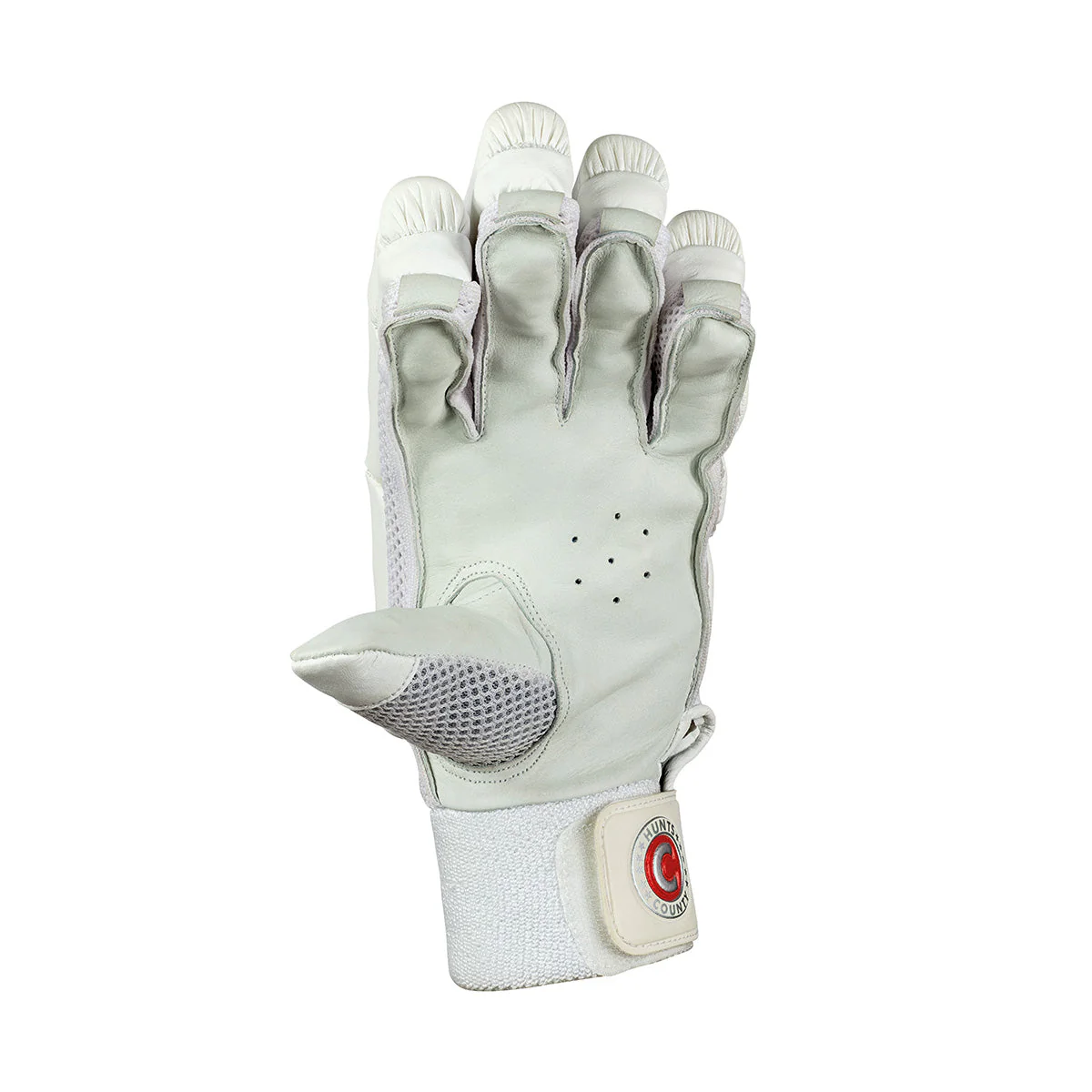 Hunts County Clipper Cricket Batting Gloves - Image 3