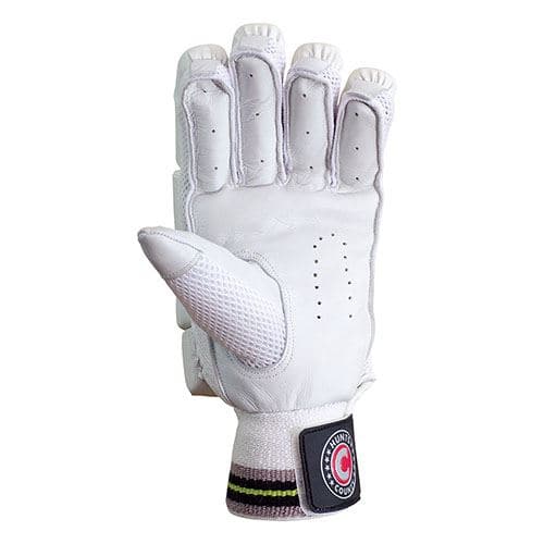 Hunts County Neo Cricket Batting Gloves - Image 3