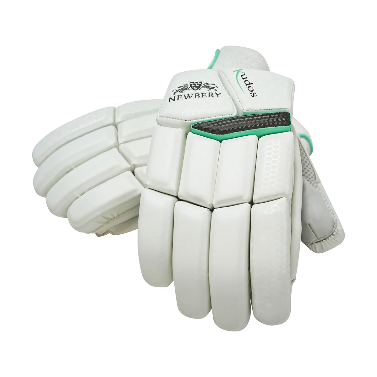 Newbery Kudos Cricket Batting Gloves - Image 5