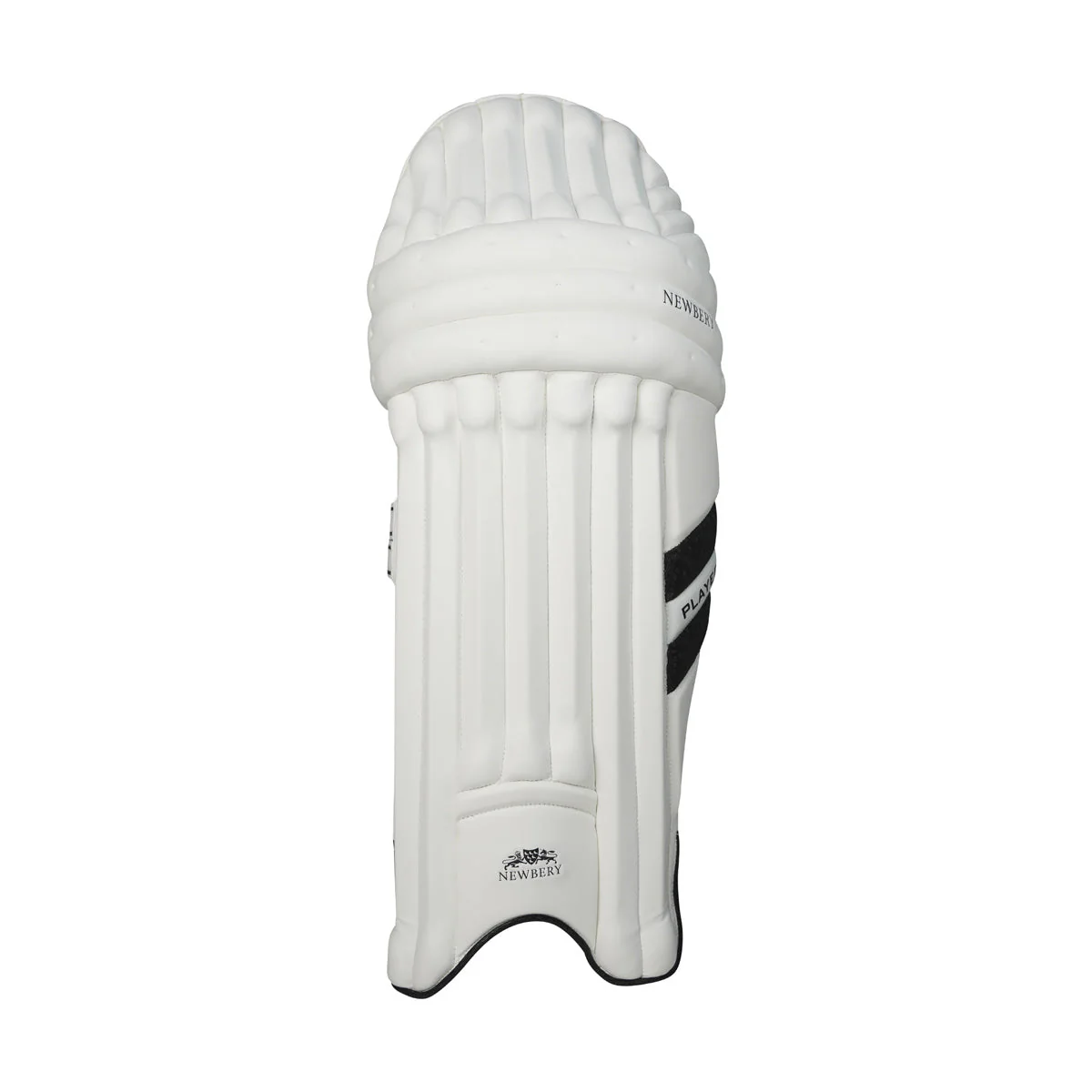 Newbery Player Cricket Batting Pads - Image 2
