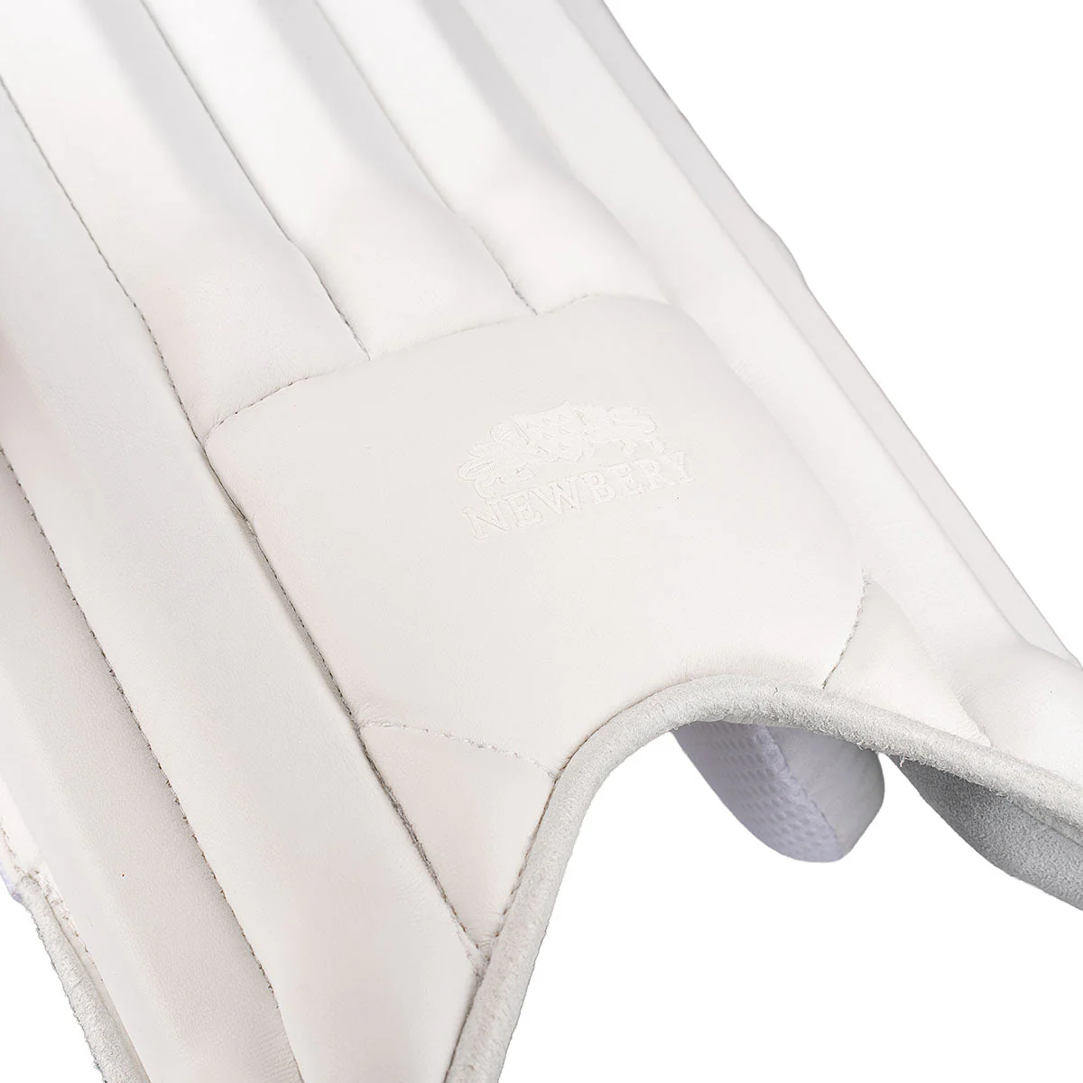 Newbery SPS Cricket Batting Pads - 2026 - Image 2