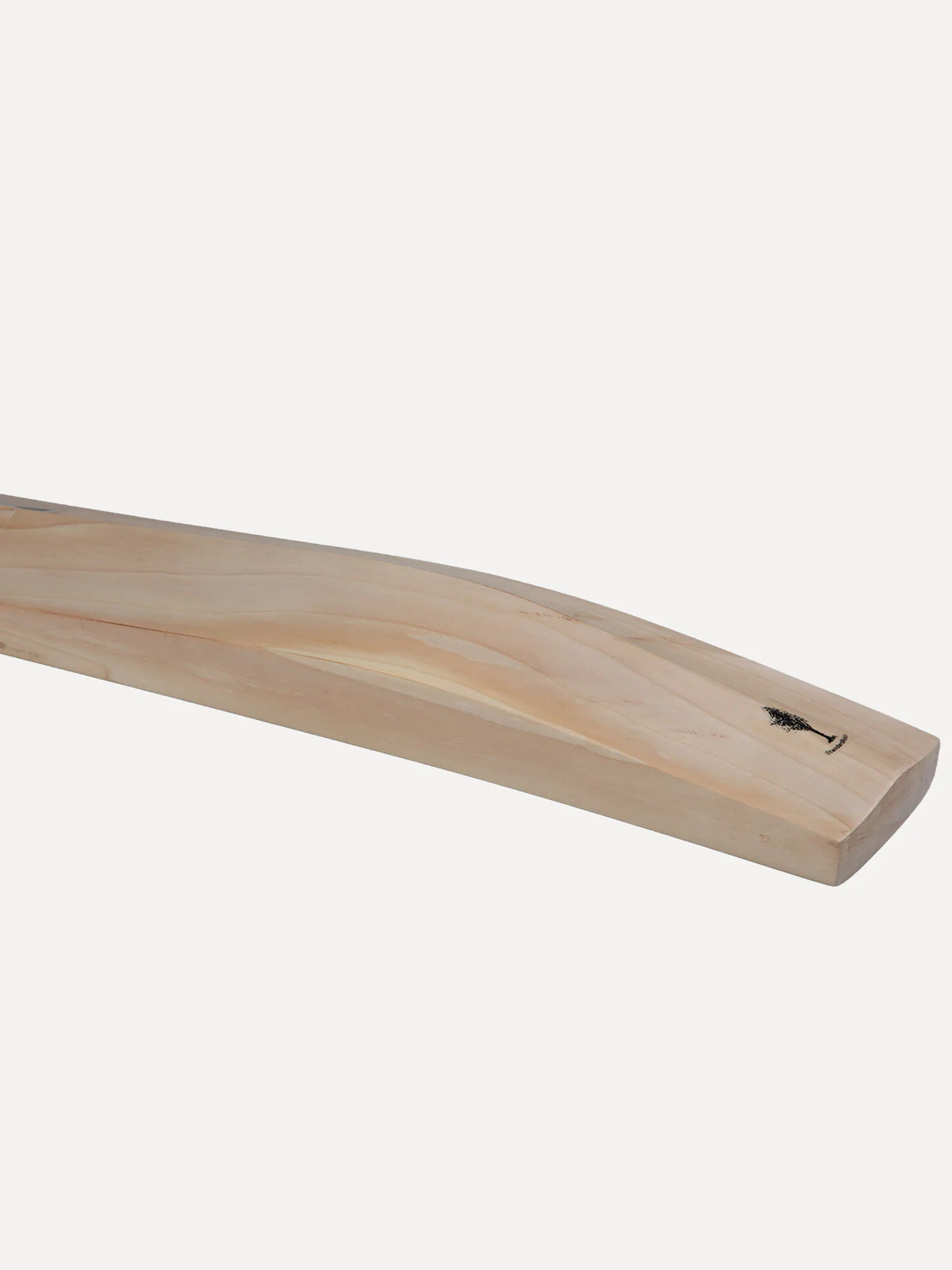 SR Chironax Junior Cricket Bat - Image 5